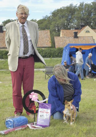 BIS_Baby BIS_Baby
