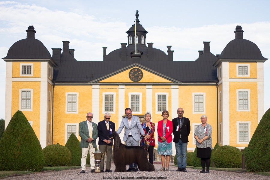 bis_slott bis_slott